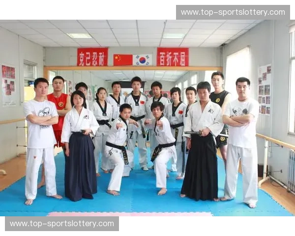 阵容跆拳道：开启你的格斗与成长之旅